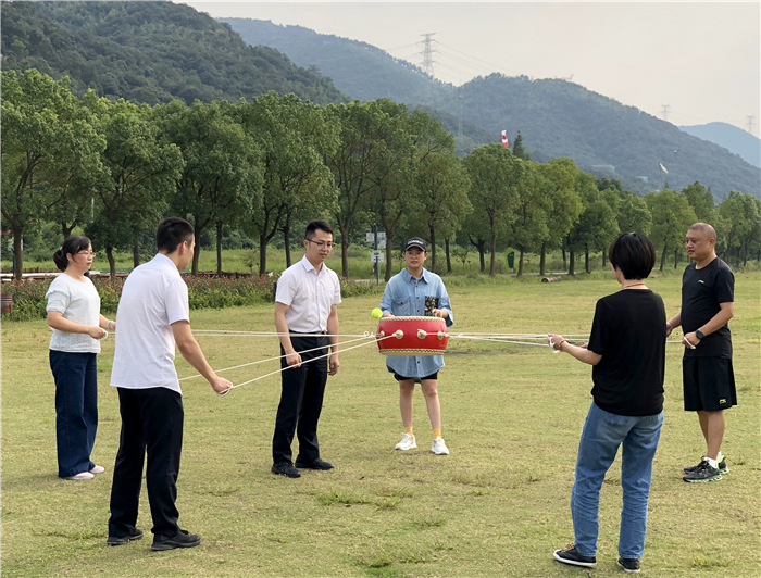 蓝月亮资料精准大全